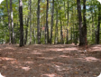 One of our very large rv sites