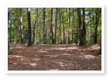 One of our large rv sites